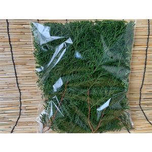 丹波産 ひのきの葉の詳細画像2