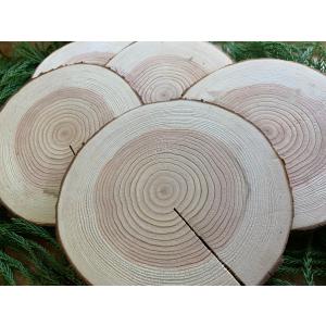 (皮付き) 丹波産 杉 輪切り 直径17〜20cm 厚さ2cm 5枚セット