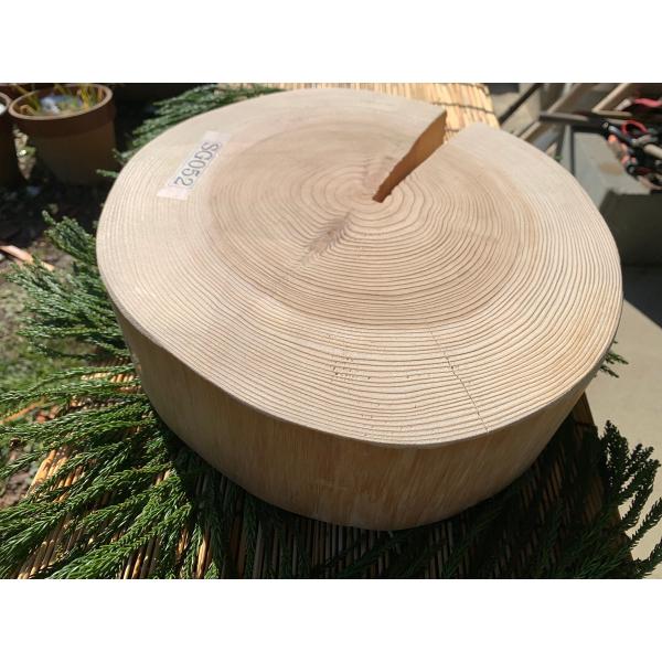 【限定品】丹波杉 直径約30cm 厚さ約8.5cm 皮剥ぎ
