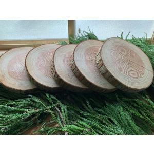 サワラ 天然木 切り株 輪切り 高さ約10㎝ サワラ 天然木 切り株 輪切り 高さ約10㎝割引