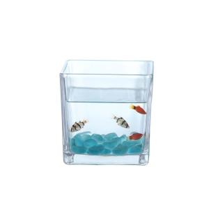 金魚 水槽 おしゃれ ビー玉の商品一覧 通販 Yahoo ショッピング