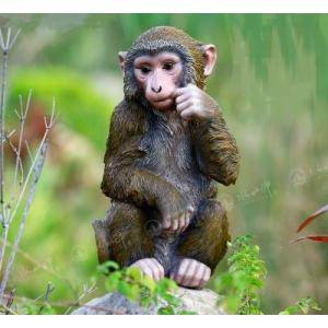 サル 置物 ガーデンの商品一覧 通販 Yahoo ショッピング