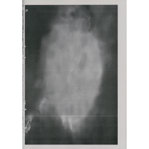 購入特典付] HIDDEN IDENTITIES by Guido Palau & Kaia Gerber