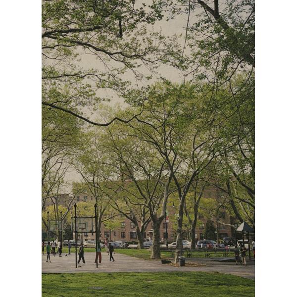 Ari Marcopoulos: Entropy