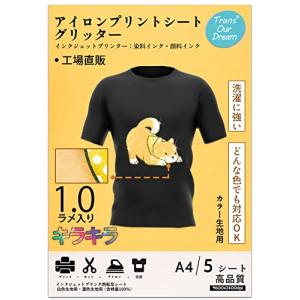 TransOurDream 真正の転写シート アイロンプリントシート 黒 濃色生地用 A4