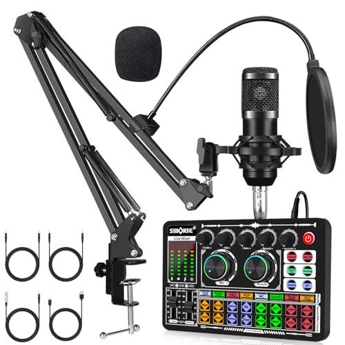 F999 カラオケセット家庭用 D ミキサー セット ライブ サウンドカード 男声 女声 ボイスチェ...
