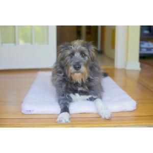 【並行輸入品】 Armarkat Model D08A Medium Bolstered Pet Bed Cushion with Poly Fi