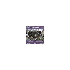 【並行輸入品】 PakaLife Dog Cr...の詳細画像5