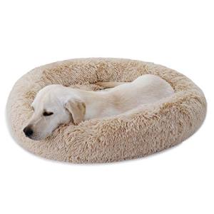 【並行輸入品】 GallaRato Dog C...の詳細画像1