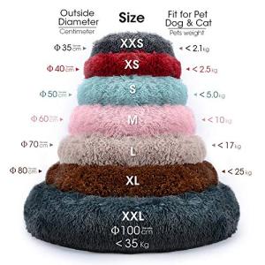 【並行輸入品】 Olvys Cozy Coco...の詳細画像4