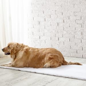 【並行輸入品】 Indoor Pet Bed Kennel with Removable Cushion, Washable Cat Dog H