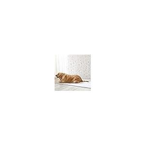 【並行輸入品】 Indoor Pet Bed ...の詳細画像2