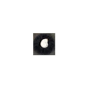 【並行輸入品】 Pet bed round d...の詳細画像5
