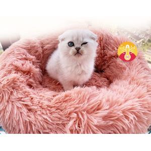 【並行輸入品】 Banana Pet Bed ...の詳細画像3