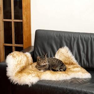 【並行輸入品】 Round Donut Cat and Dog Cushion Bed Cave 17.7 Inch Washable Smal