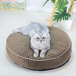 【並行輸入品】 Dog Cooling Mat...の詳細画像4
