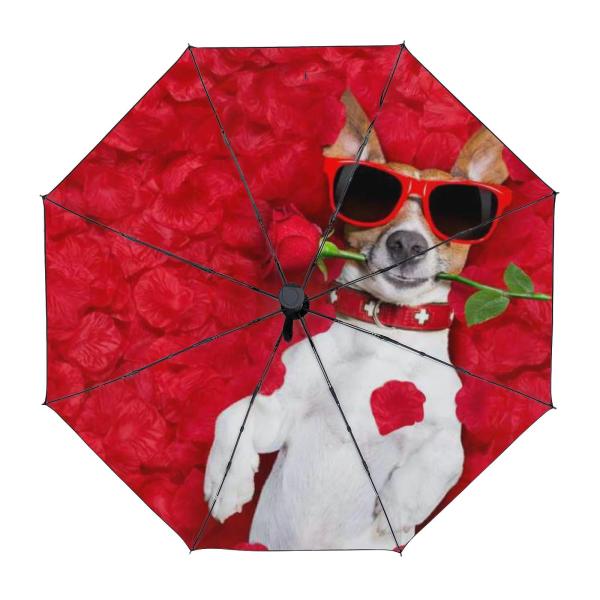 【並行輸入品】 EALLEN Folding Umbrella, Inverted Umbrella...