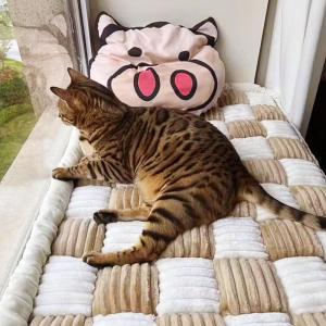 【並行輸入品】 Happycare Texti...の詳細画像3