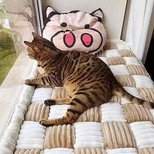 【並行輸入品】 Happycare Texti...の詳細画像4