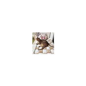 【並行輸入品】 Happycare Texti...の詳細画像5