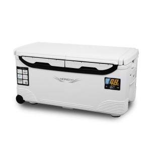 【並行輸入品】 Food Cooler, 18L Portable Cooler Box with Handle for River Fishi