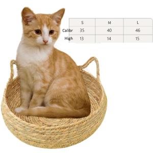 【並行輸入品】 Deco Pet Orthop...の詳細画像3