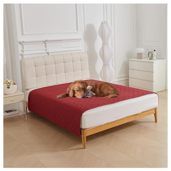 【並行輸入品】 ULTECHNOVO Dog Crate Pan, Plastic Pet Cage...