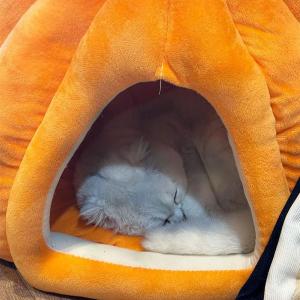 【並行輸入品】 Warm and Comfor...の詳細画像3