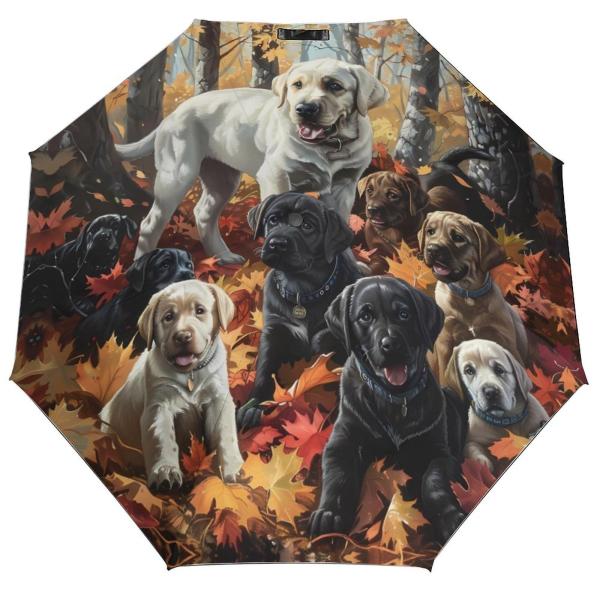 【並行輸入品】 Hockey Funny Folding Umbrella Auto Windpro...