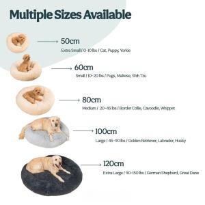 【並行輸入品】 Fashion Pet All...の詳細画像2
