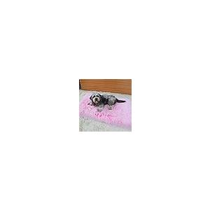 【並行輸入品】 LULUMAIC Luxury...の詳細画像5