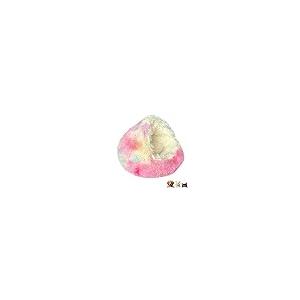 【並行輸入品】 Gavenia Katzenb...の詳細画像2