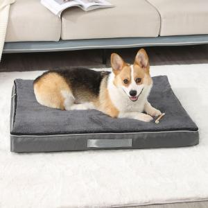 【並行輸入品】 LAY LO Pets Dog...の詳細画像3