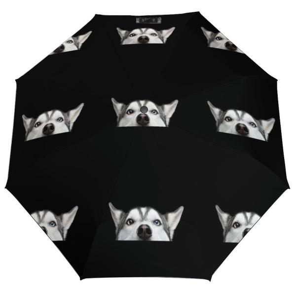 【並行輸入品】 Donnapink Manual Open/Close Umbrella, 3 Fo...