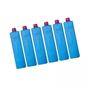 【並行輸入品】 Small Cool Box 6L Small Cooler with 5 Ice Packs Long Lasting 72