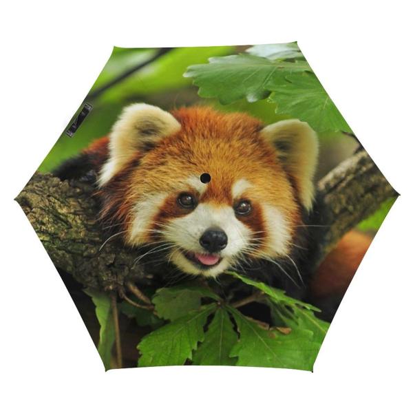 【並行輸入品】 Xmkltbz Manual Strong Open/Close Umbrella,...