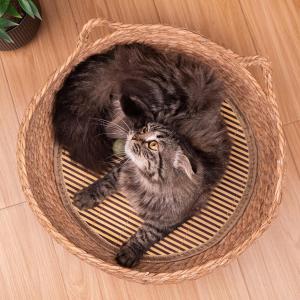 【並行輸入品】 ペットティピー ソフトクッショ...の詳細画像3