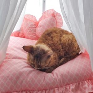 【並行輸入品】 Best Pet Suppli...の詳細画像4