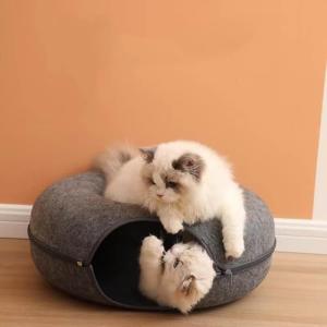 【並行輸入品】 ANexidra Pet Co...の詳細画像4