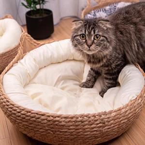 【並行輸入品】 Ultra Soft Calm...の詳細画像4