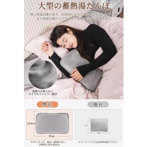 【クーポン配布中】湯たんぽ 充電式 大きいサイ...の詳細画像2