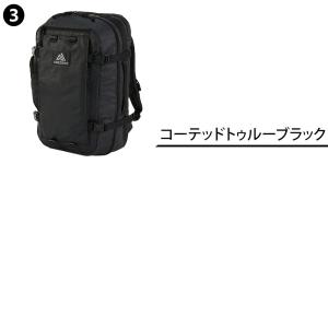 最大42% グレゴリー GREGORY リュッ...の詳細画像2