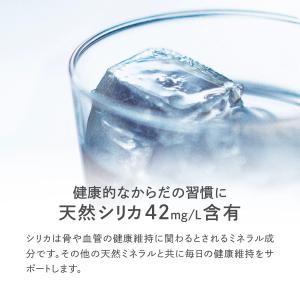 【1本あたり47.1円!期間限定SALE】シリ...の詳細画像2