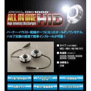 RACING GEAR（レーシングギア） RG 純正交換HIDバルブ D4S/D4R共通