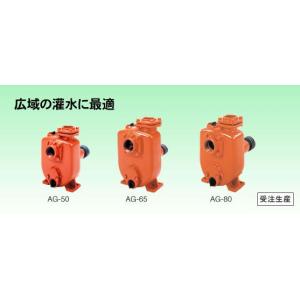 工進（KOSHIN） コーシン ハイデルスポンプ (工進 コーシンK35)4