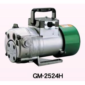 工進（KOSHIN） コーシン ハイデルスポンプ (工進 コーシンK35)4