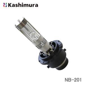 RACING GEAR（レーシングギア） RG 純正交換HIDバルブ D4S/D4R共通