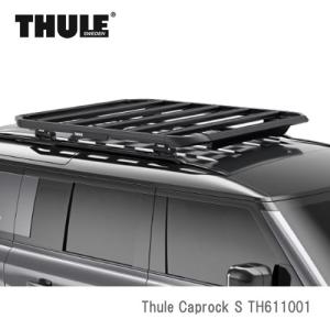 Thule（スーリー） キャリアバスケット Canyon XT（キャニオン XT
