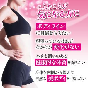 ダイエットサプリメント女性用 HMB5400 ...の詳細画像4