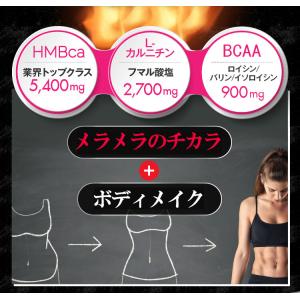 ダイエットサプリメント女性用 HMB5400 ...の詳細画像5